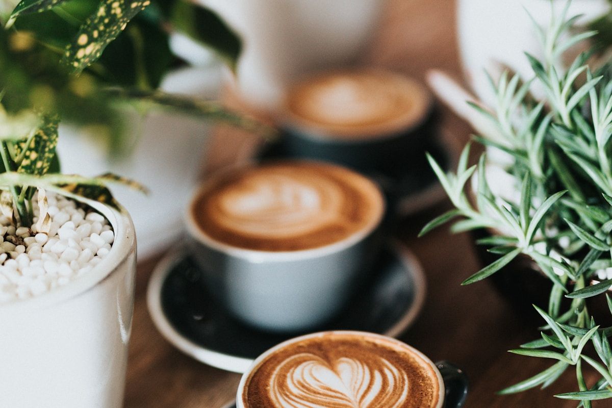 Scaling a Coffee Roastery: When to Add a Second Roaster